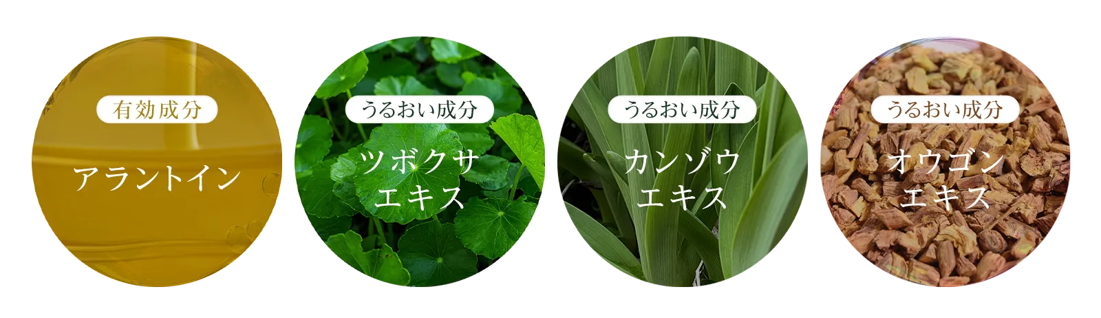 うるおい成分